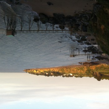 Profil de Marialine, 37 ans, Milf Suisse à Luthern